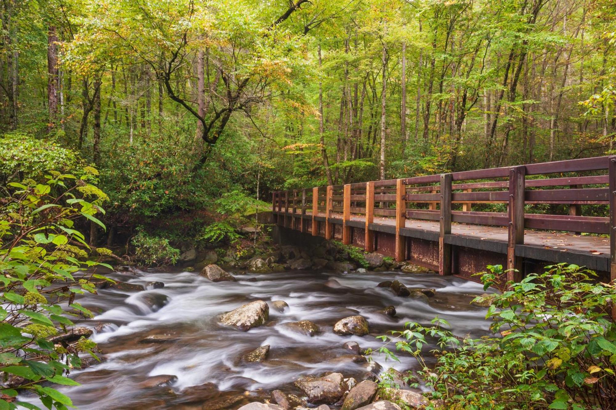 Time To Cuddle, Wifi, Near Pigeon Forge, 1089 Free Tickets Each Paid Day, Dollywood And More Exterior photo